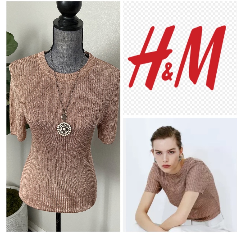 H&M Metallic Rib Knit Top
